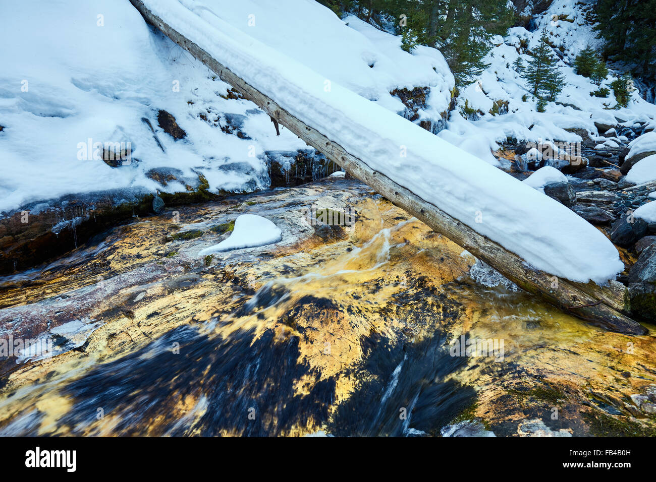 Winter landscape with mountain river and fir forest Stock Photo - Alamy