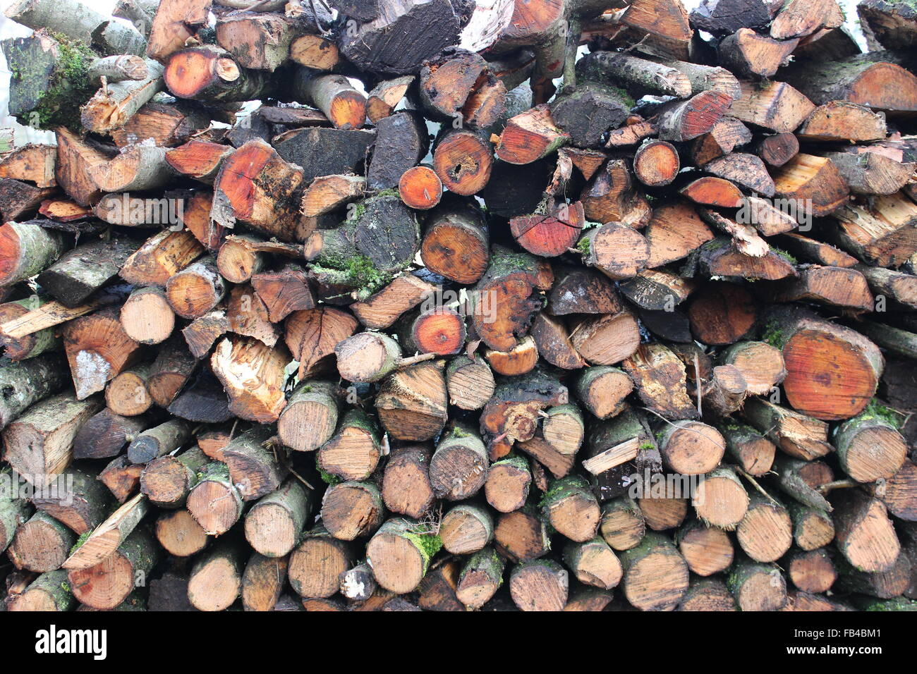 Fire Wood Stock Photo