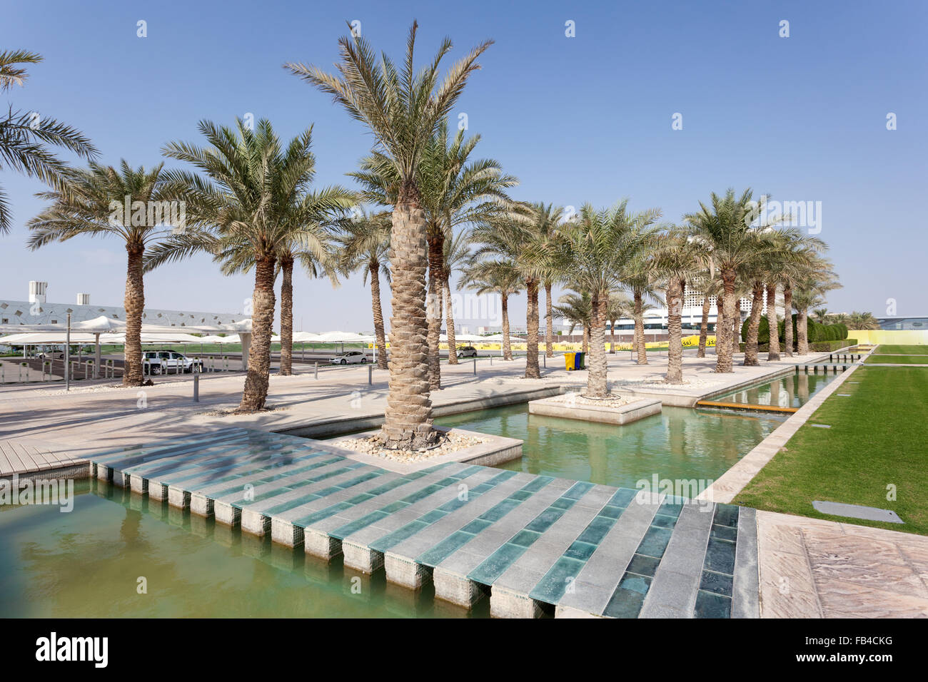 Palm trees at the Campus in Doha, Qatar Stock Photo