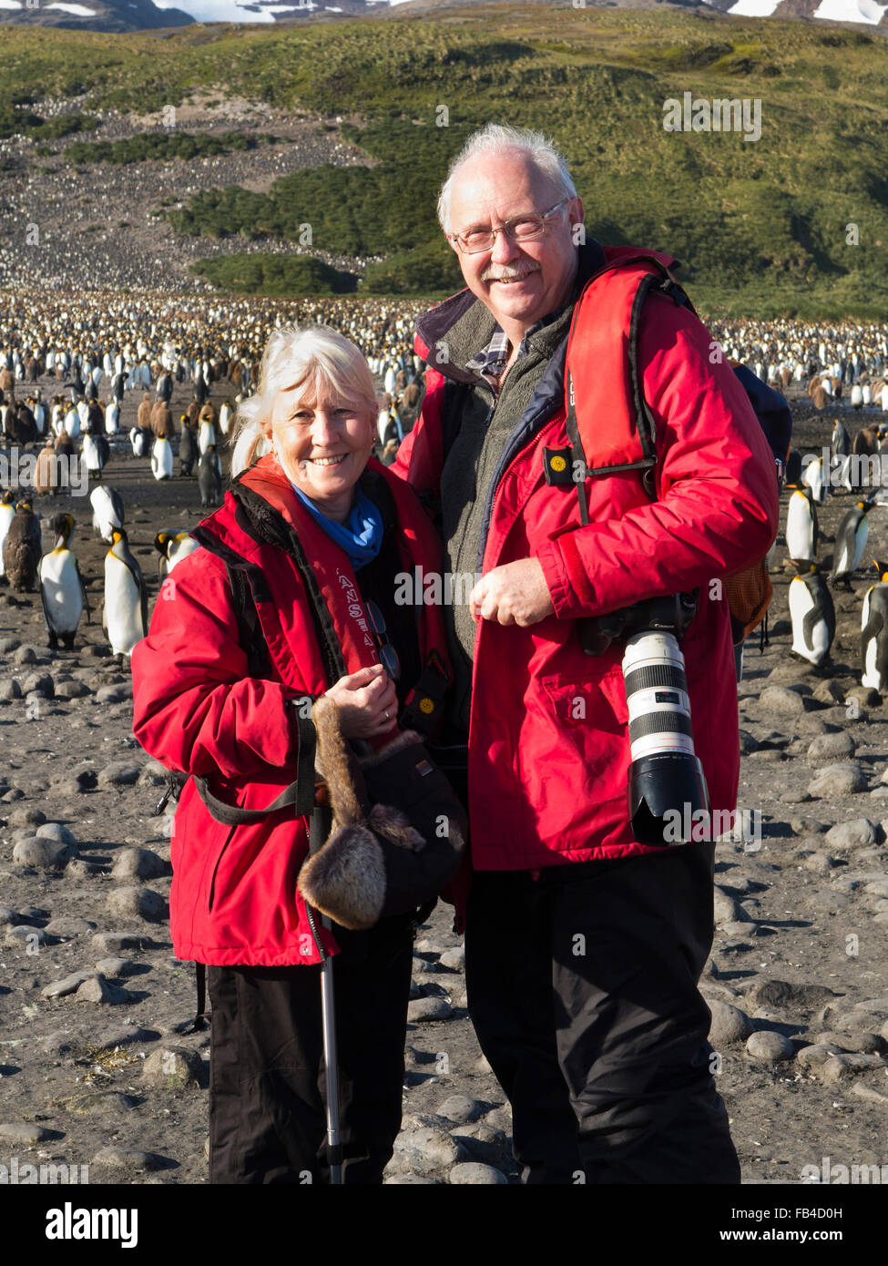 South Atlantic, South Georgia, Bay of Isles, senior tourist couple, amongst king penguins Stock Photo