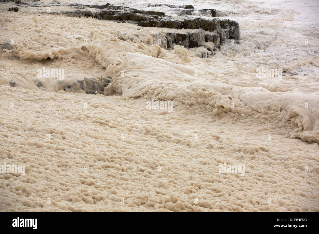 Foam wipped up by storm waves blows ashore at Craster on the Northumberland coast. Taken on Monday 4th January 2016 Stock Photo