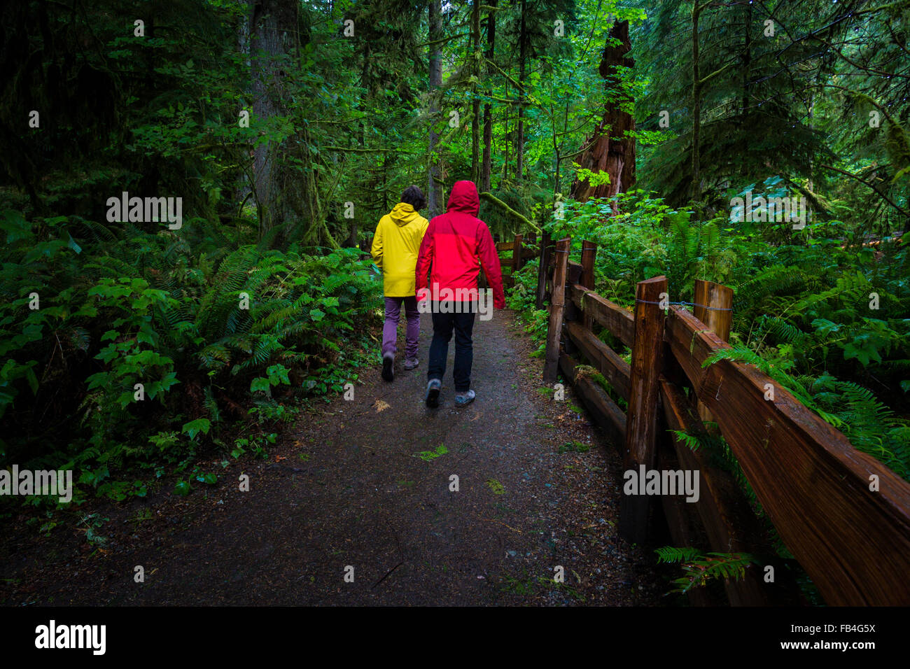 MacMillan Provincial Park, Cathedral Grove, Vancouver Island, British Columbia, Canada