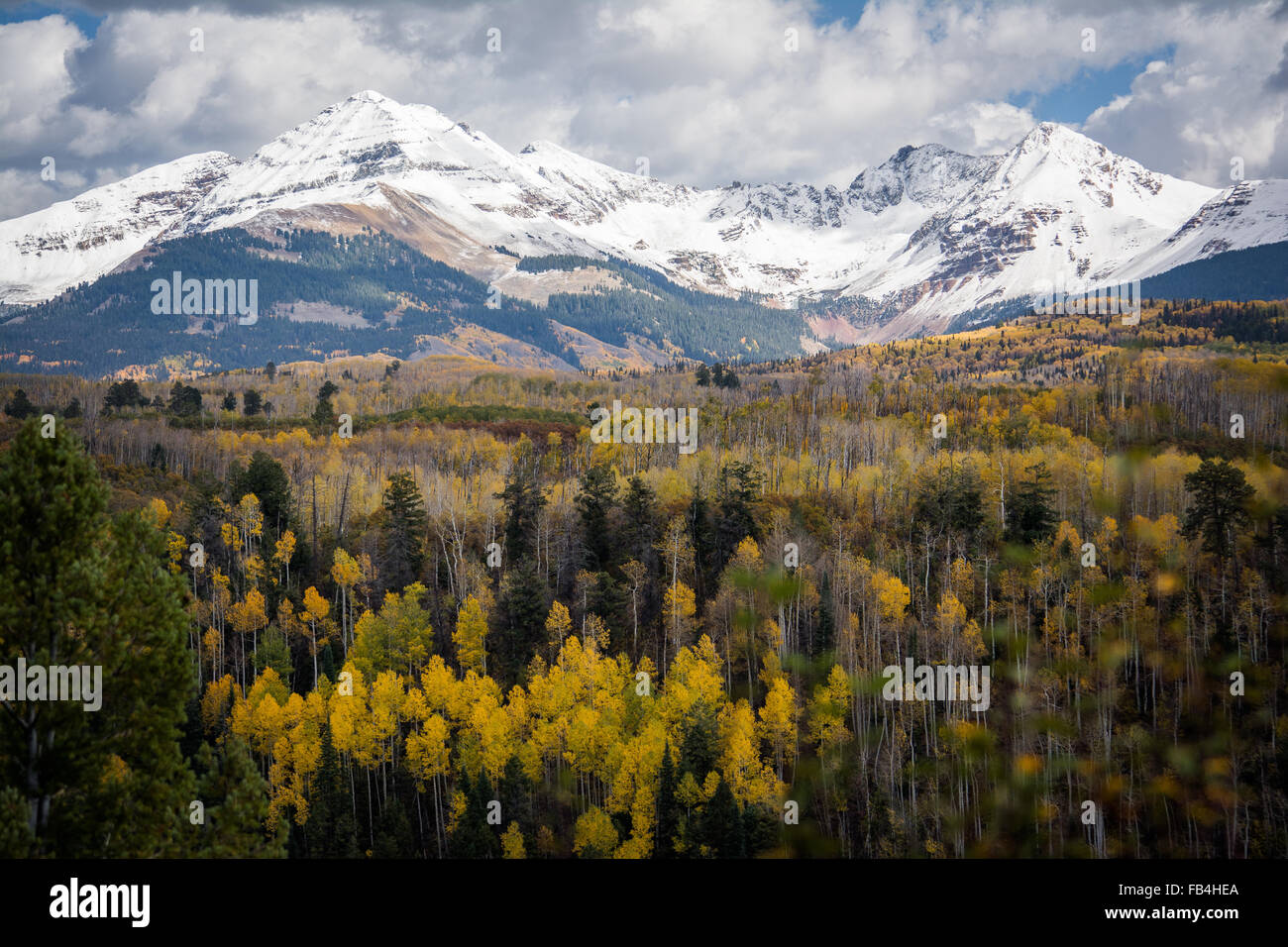 Snow-capped La Plata Mountains, Southwestern Colorado in fall colors Stock Photo