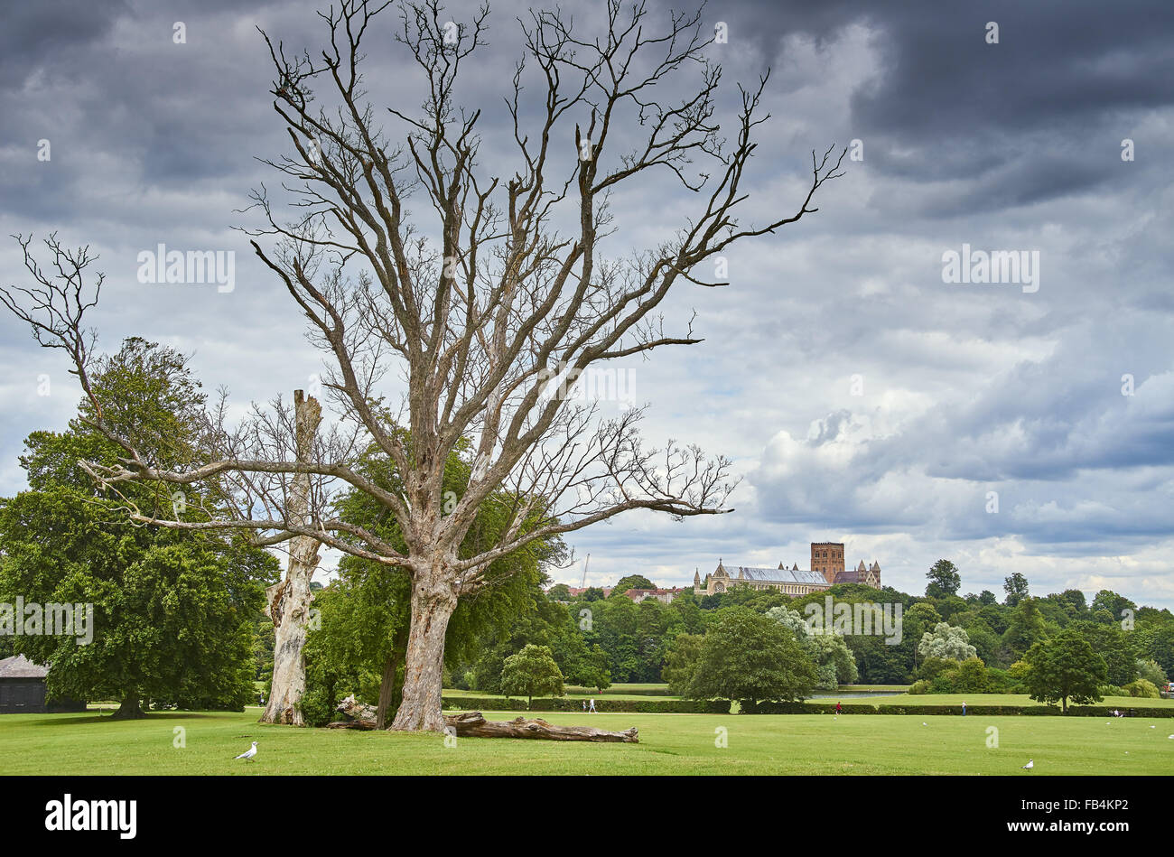 St Albans Cathedral from Verulamium Park Stock Photo
