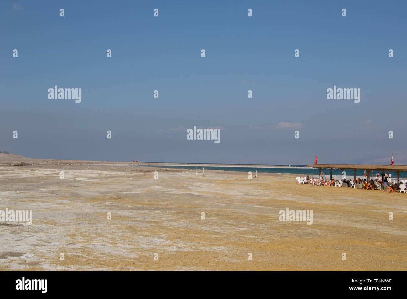 Black Sponge, Ircinia muscarum, Kas, Antalya, Mediterranean Sea, Turkey  Stock Photo - Alamy