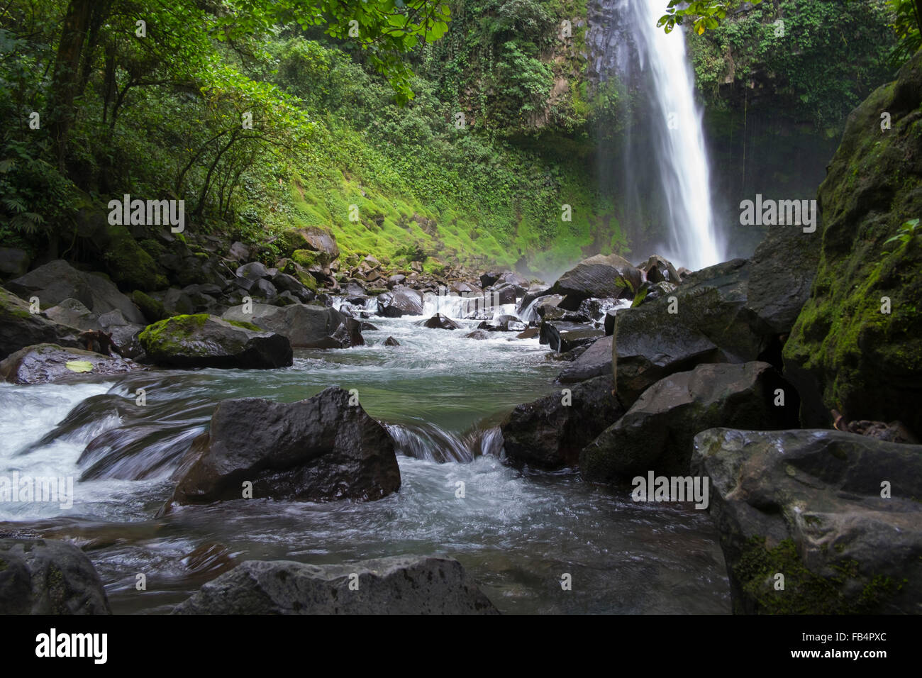 The La Fortuna waterfall close to the city of La Fortuna, Costa Rica. Stock Photo