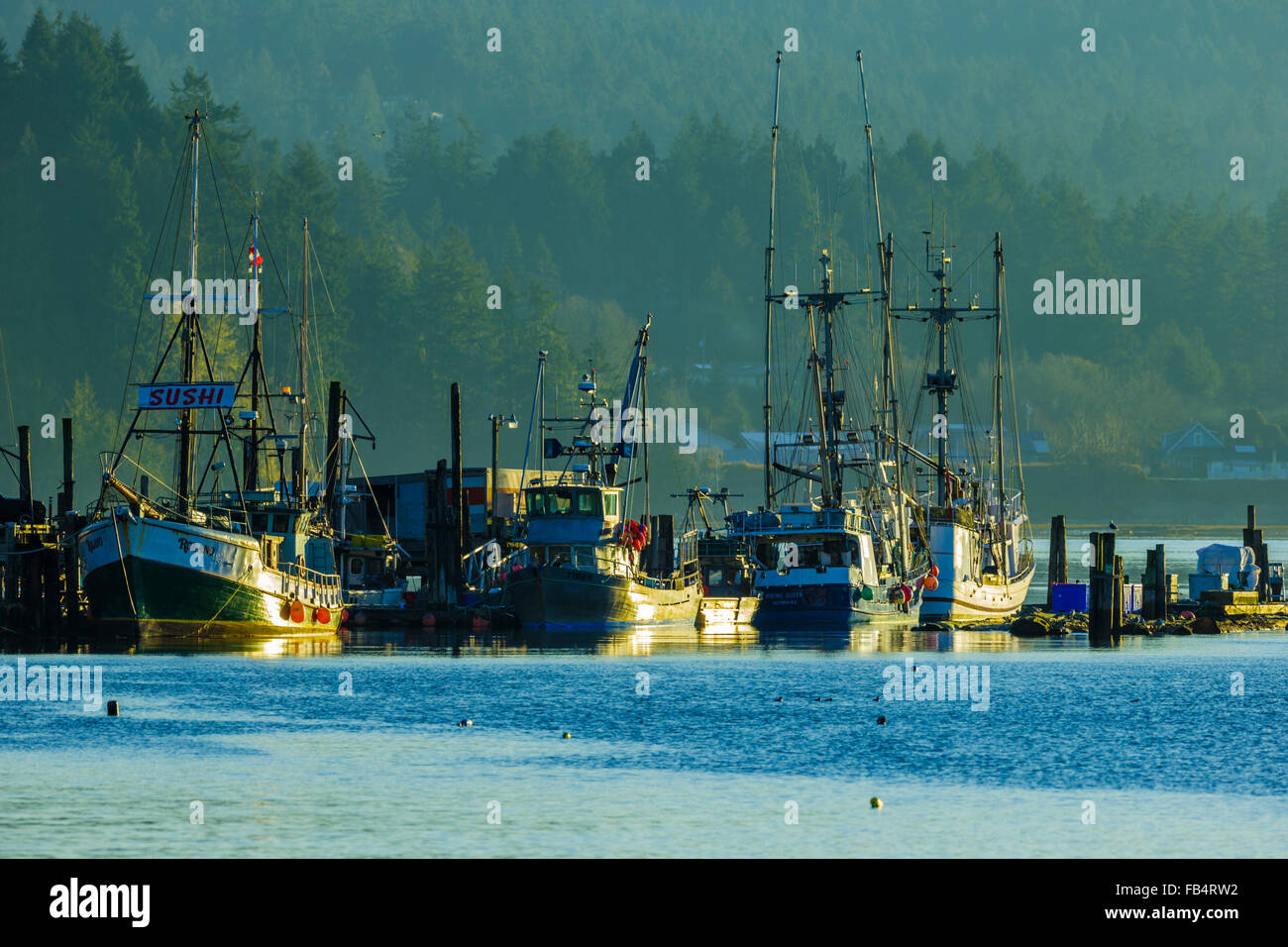 commercial fishing boats, Vancouver Island Stock Photo Alamy