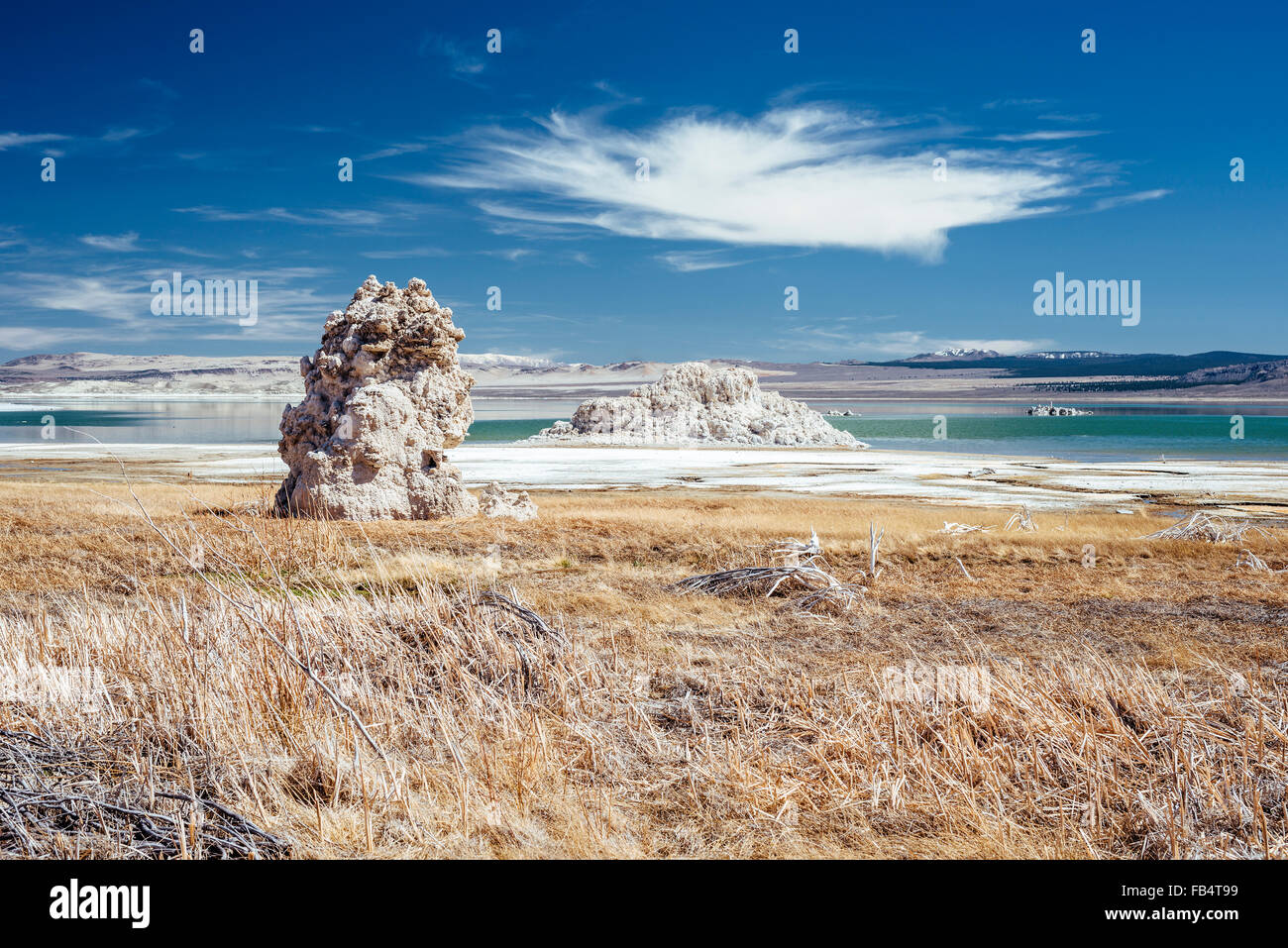 Tufa formations on the shore of Mono Lake, California Stock Photo