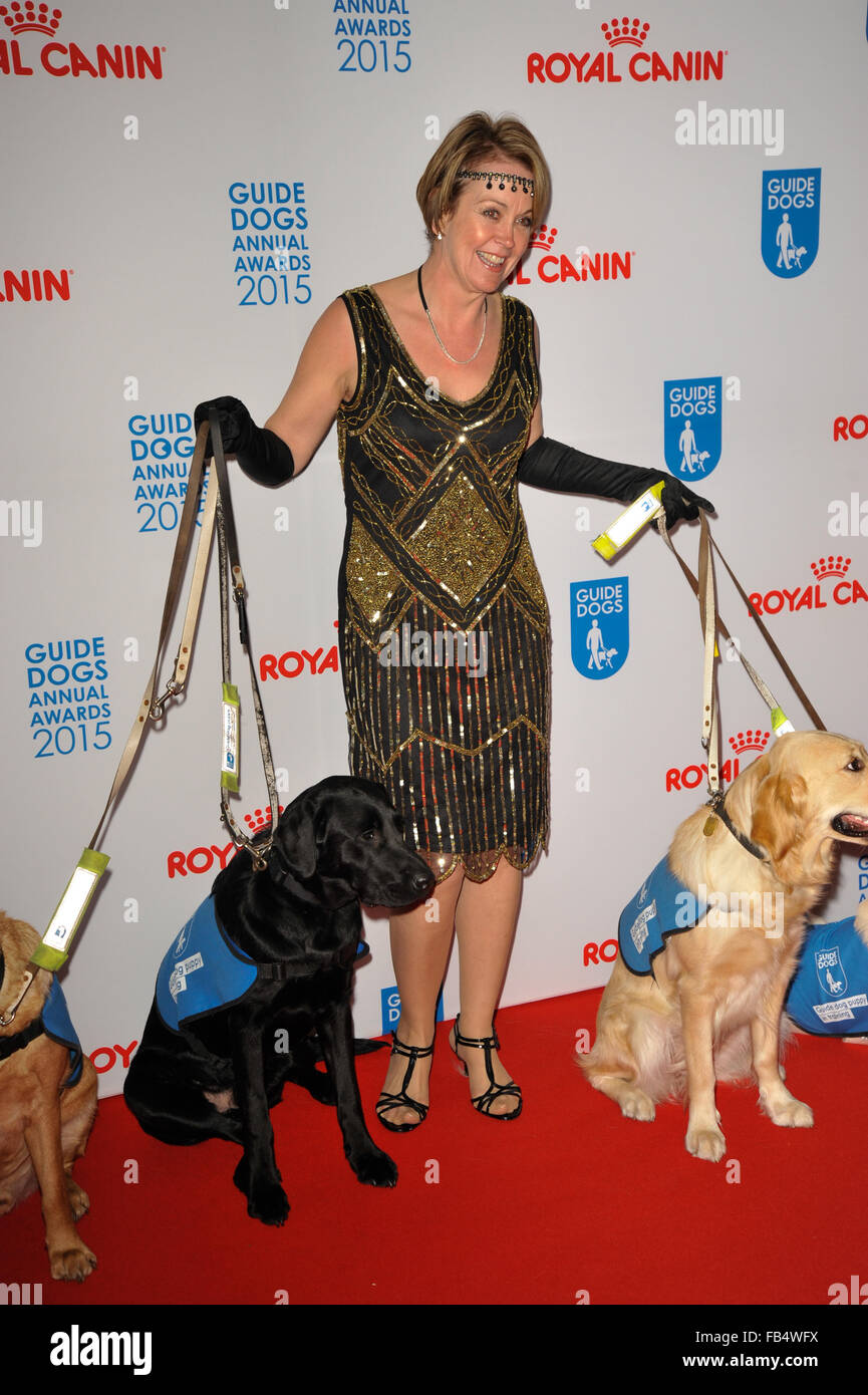 The Guide Dogs For The Blind Association annual awards 2015 at the Hilton - Arrivals  Featuring: Jane George Where: London, United Kingdom When: 09 Dec 2015 Stock Photo