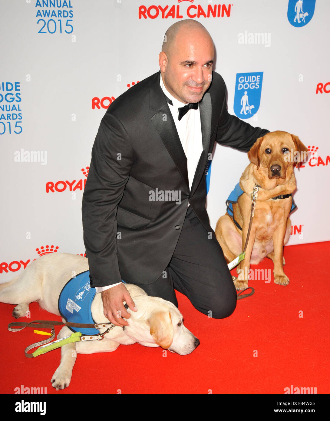 The Guide Dogs For The Blind Association annual awards 2015 at the Hilton - Arrivals  Featuring: Marc Abrahams Where: London, United Kingdom When: 09 Dec 2015 Stock Photo