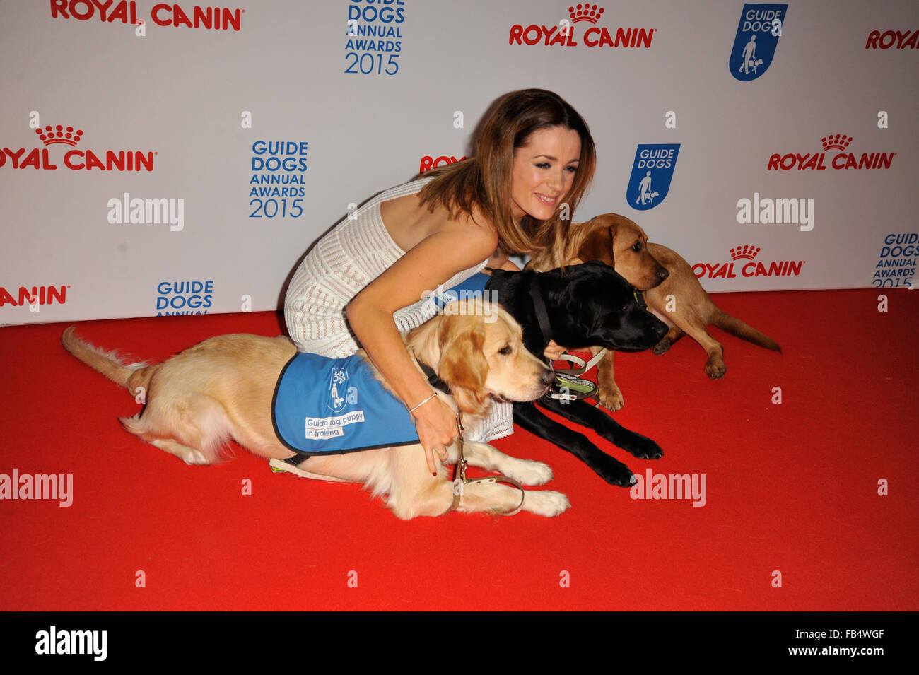 The Guide Dogs For The Blind Association annual awards 2015 at the Hilton - Arrivals  Featuring: Natalie Pinkham Where: London, United Kingdom When: 09 Dec 2015 Stock Photo