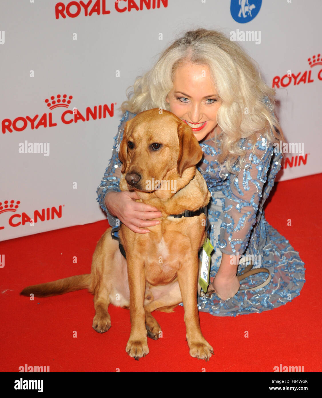 The Guide Dogs For The Blind Association annual awards 2015 at the Hilton - Arrivals  Featuring: Debbie Douglas Where: London, United Kingdom When: 09 Dec 2015 Stock Photo