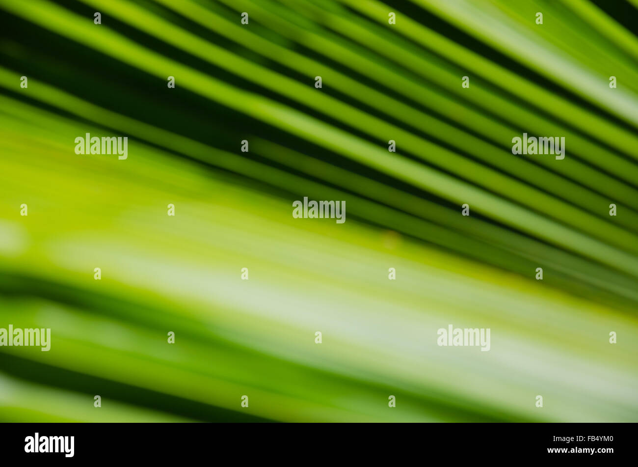 Abstract wallpaper green hi-res stock photography and images - Alamy