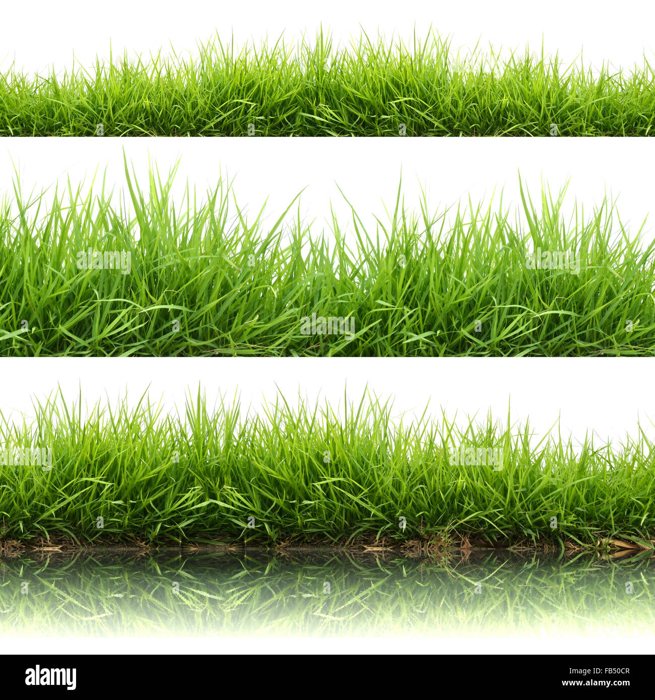 3 style fresh spring green grass isolated on white background Stock ...