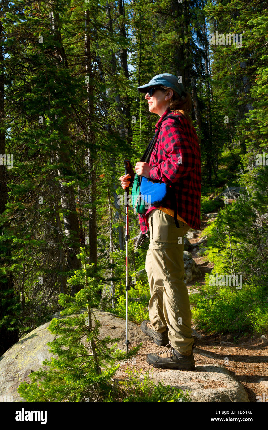 Hiker along Lady of the Lake Trail, Absaroka Beartooth Wilderness, Gallatin National Forest, Montana Stock Photo