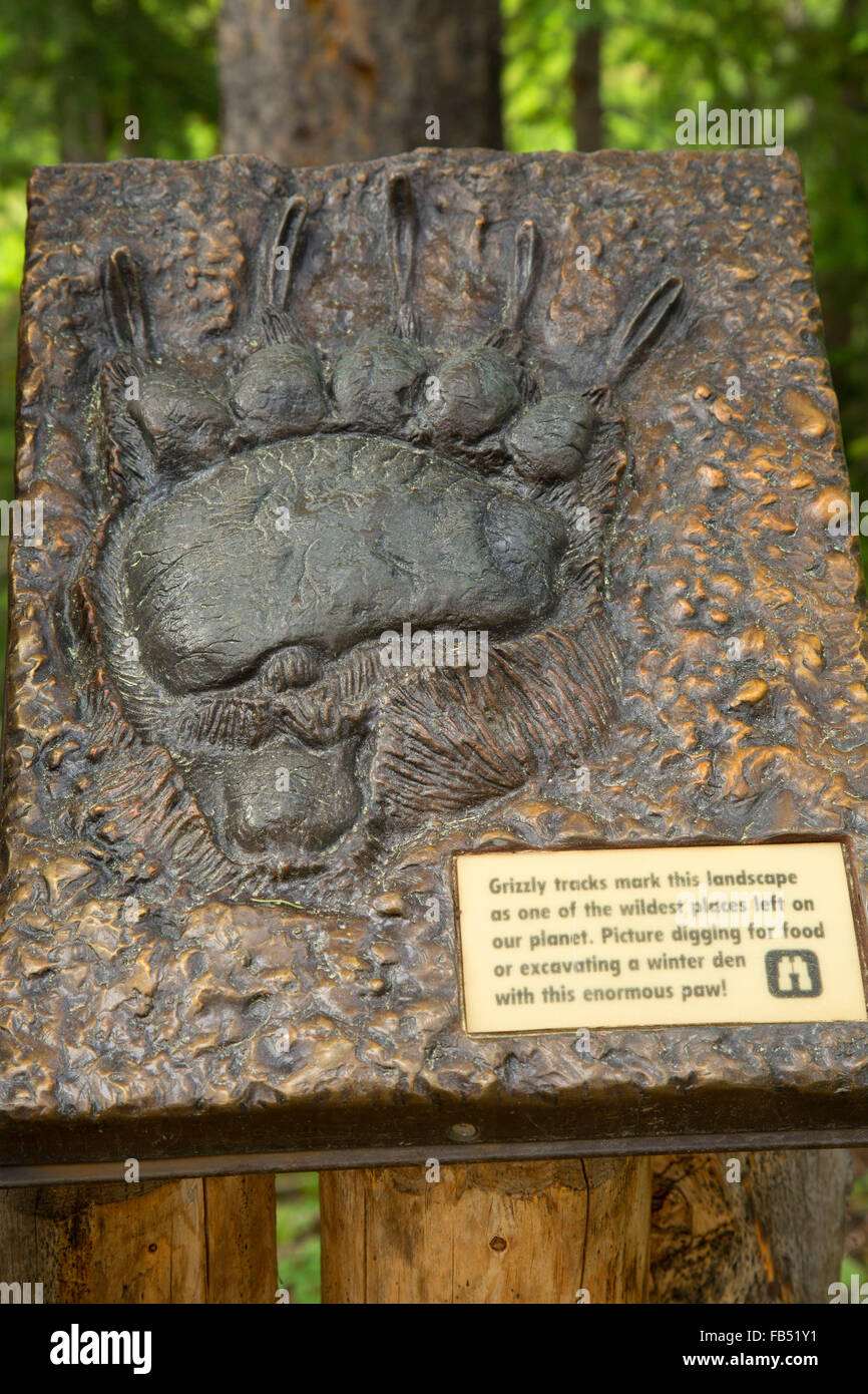 Grizzly bear track display, Gallatin National Forest, Beartooth Scenic