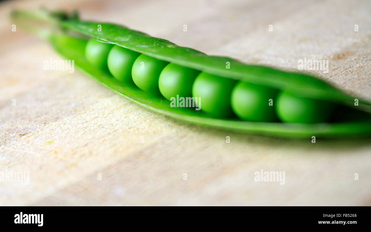 green pea Pisum sativum pods Stock Photo