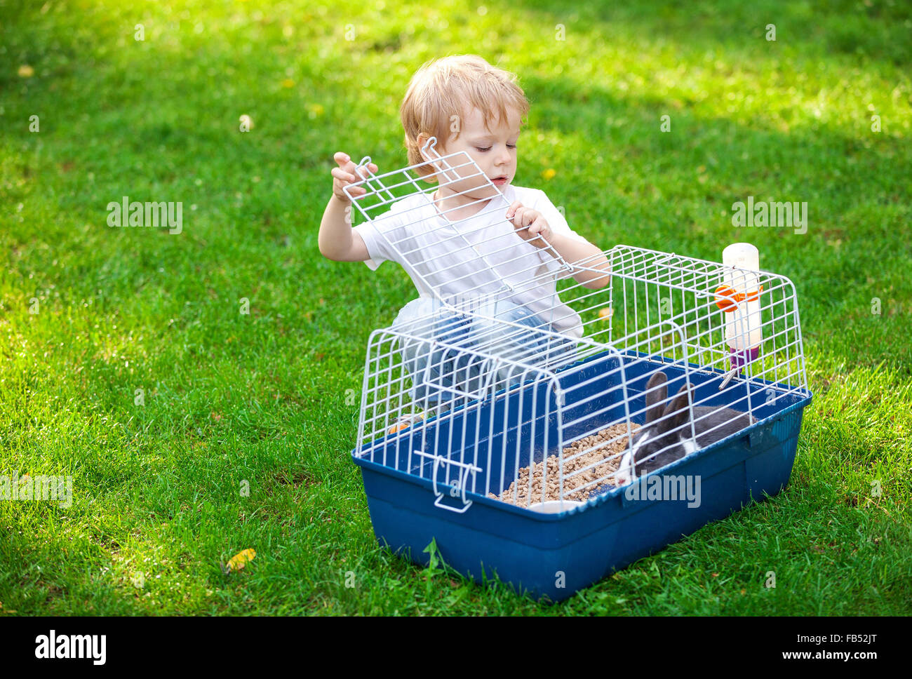 Cute boy opening a cage with a pet rabbit in a park Stock Photo