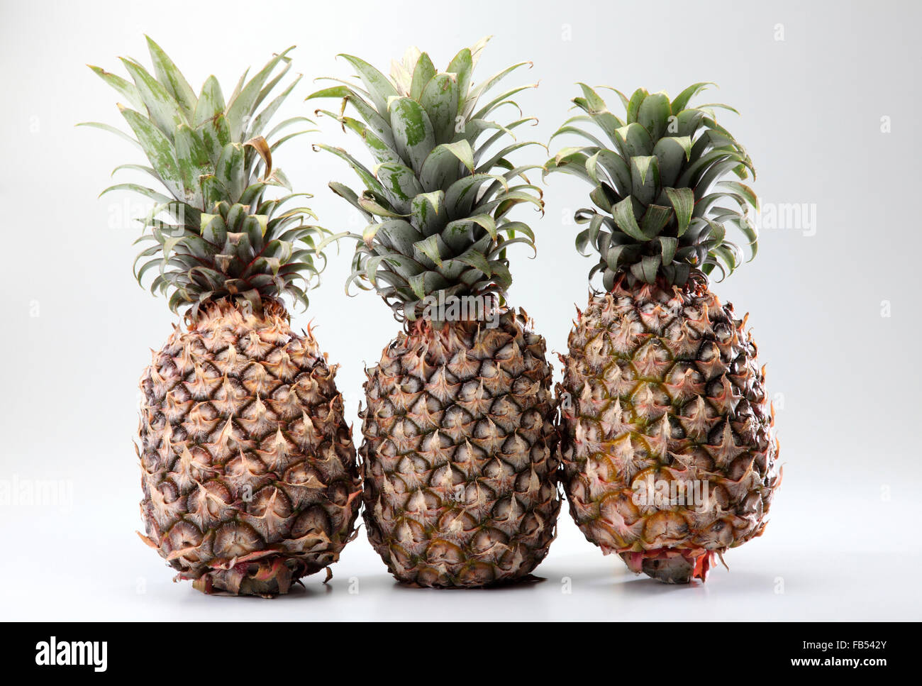 tropical fruit pineapple on the plain background Stock Photo - Alamy