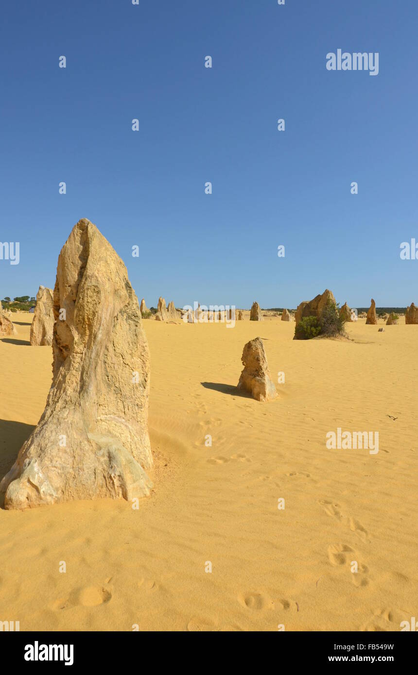 The pinnacles desert at Nambung National Park, Western Australia Stock Photo