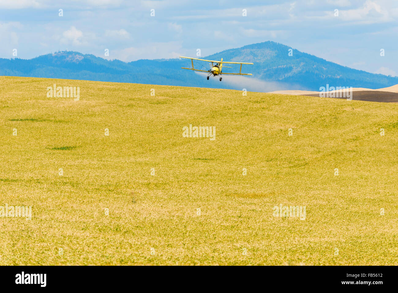 Crop duster spraying herbicide on fields of garbanzo beans in the