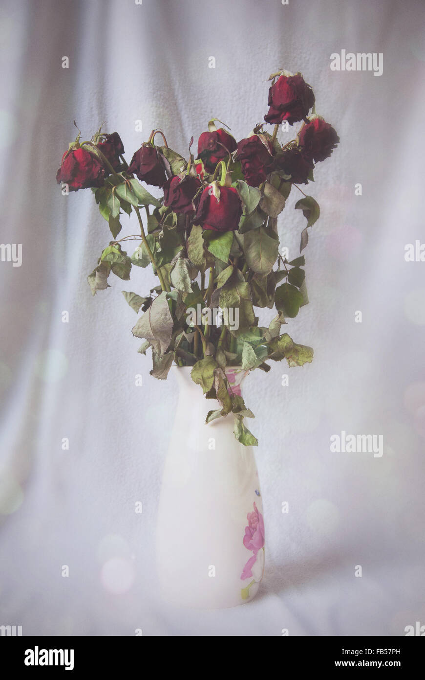 Wilting red roses in white patterned vase Stock Photo Alamy