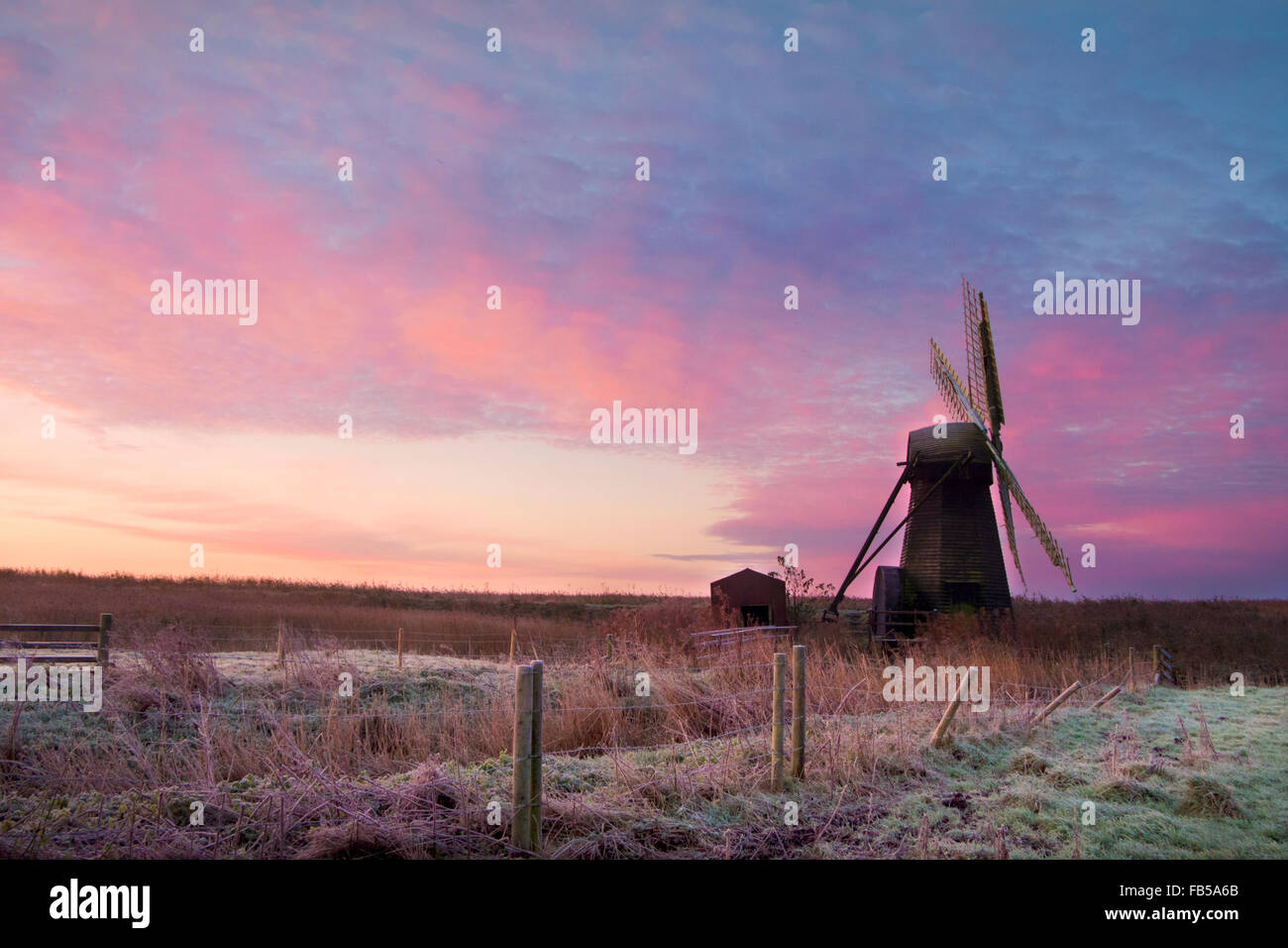 Herringfleet mill at daybreak Stock Photo - Alamy
