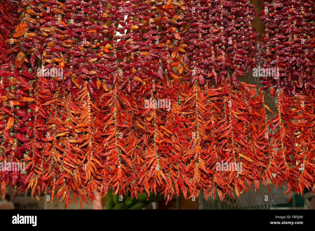 String of chilies hi-res stock photography and images - Alamy
