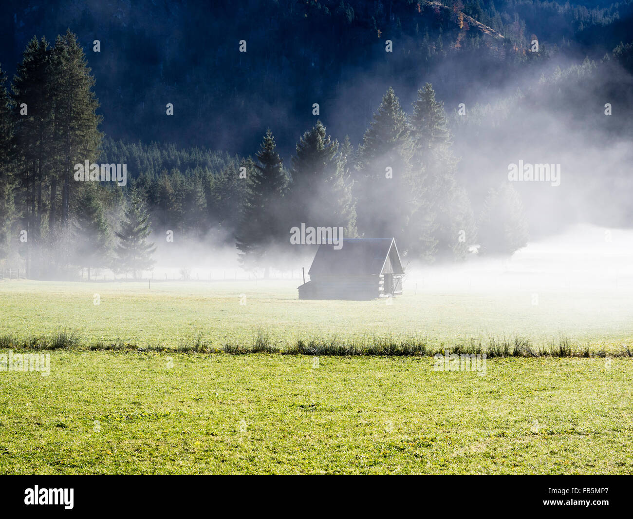Valley Hinterstein, near Bad Hindeland, alpine wooden hut, autumn, fog. Stock Photo