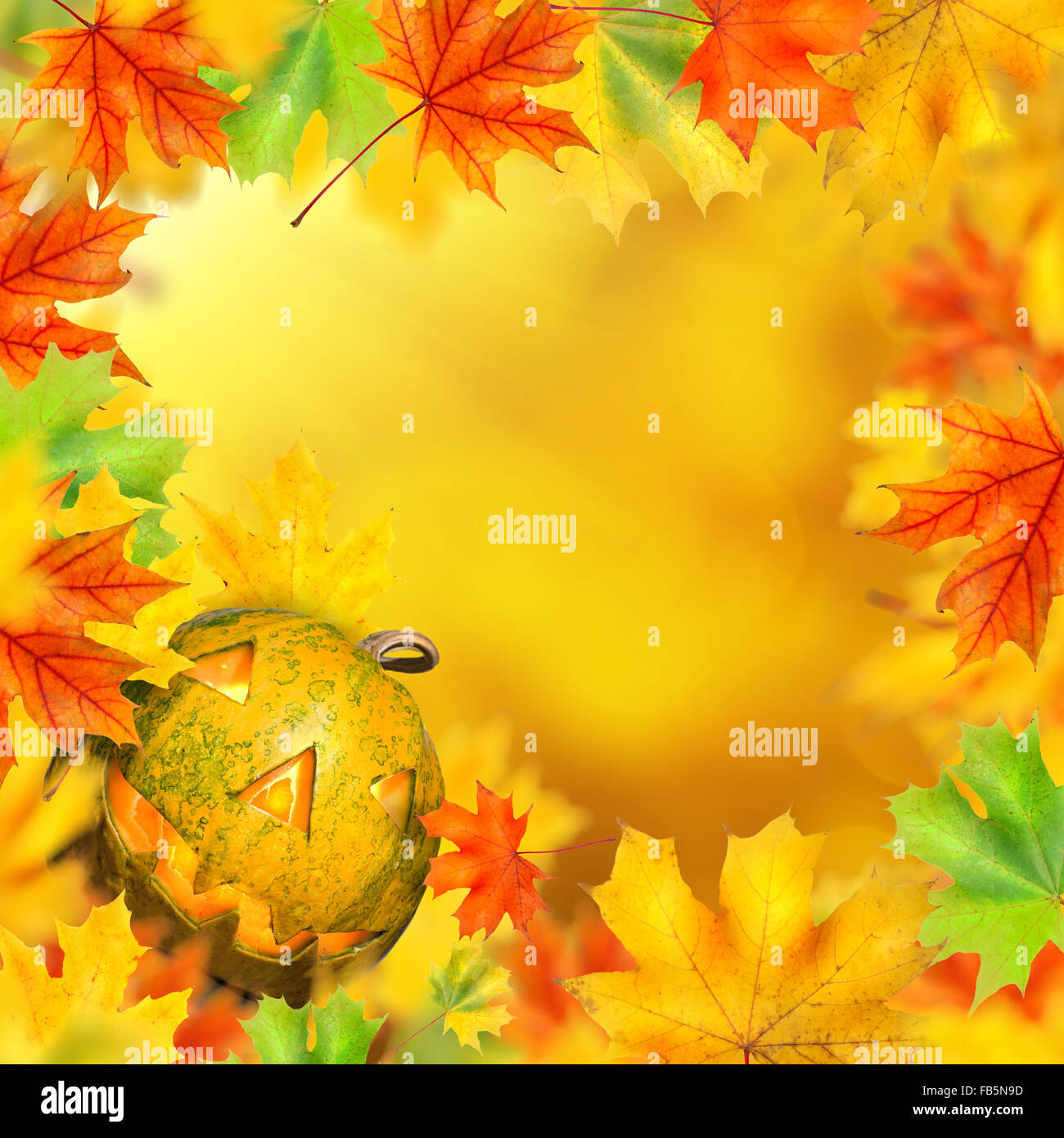 halloween pumpkin with frame made of autumn leaves and yellow ...