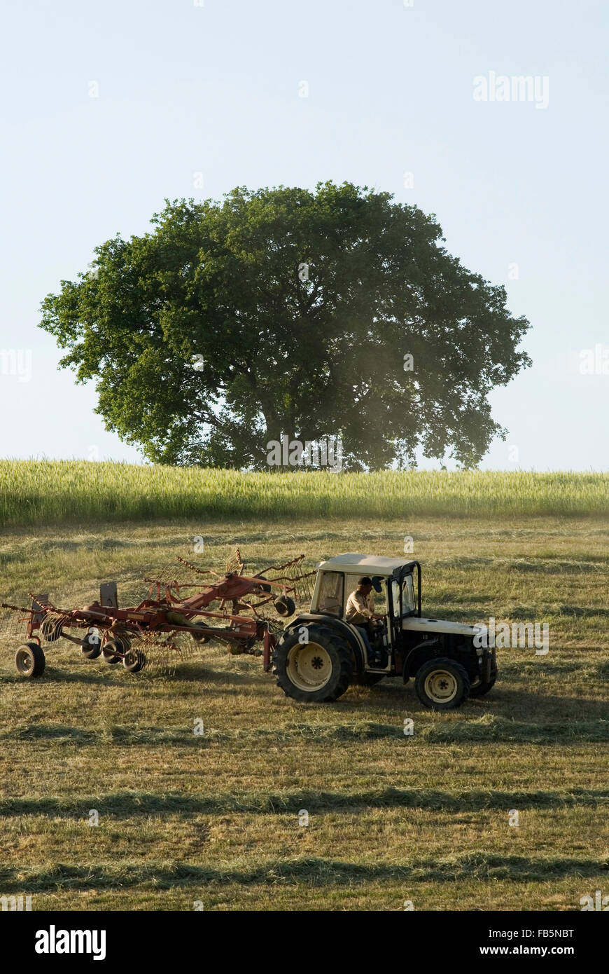 Field Hay turn tractor farm germany europe Stock Photo - Alamy