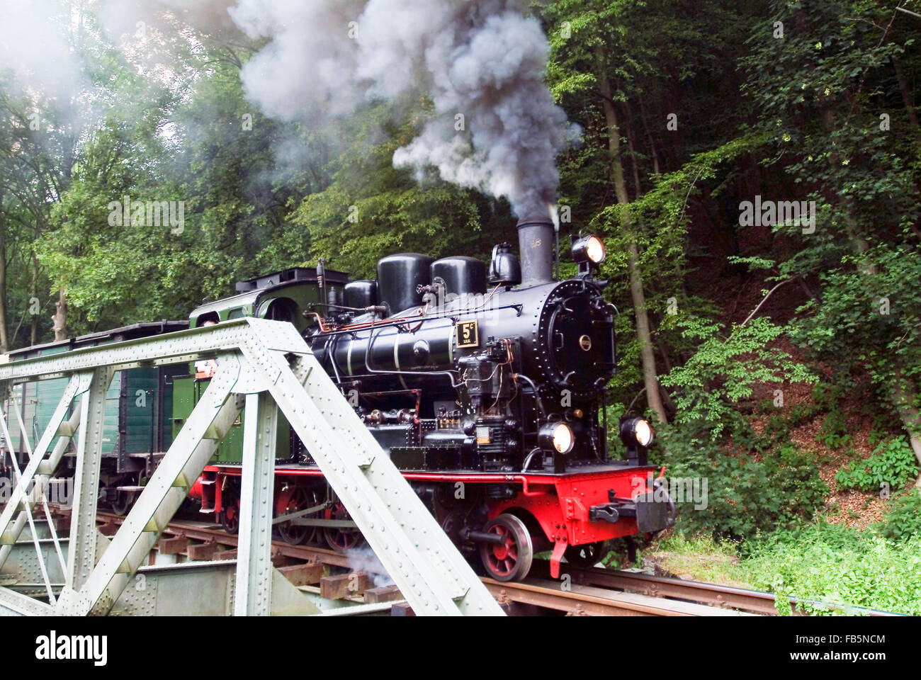 Steam Locomotive historic vulcan express in brohl valley rhineland-palatinate germany europe Stock Photo