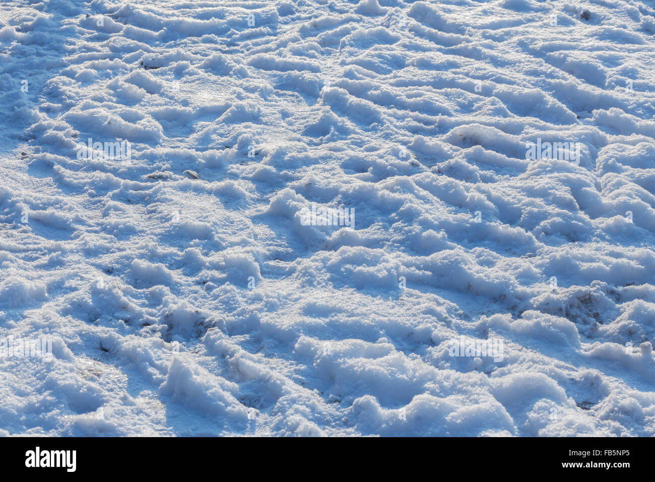 Footprints in the snow. Stock Photo