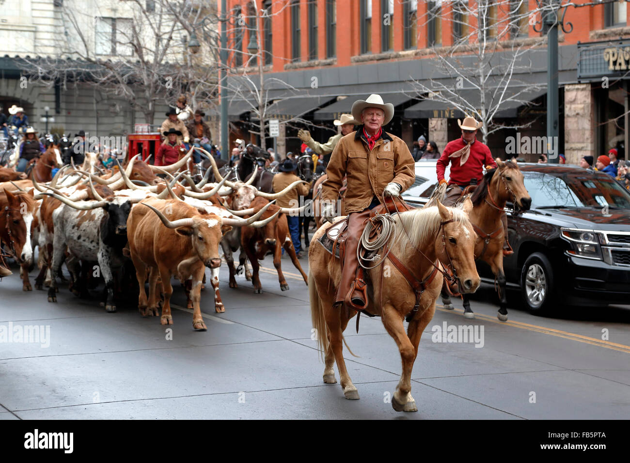 Longhorns herded by cowboys, National Western Stock Show Kick-Off Parade, Denver, Colorado USA Stock Photo