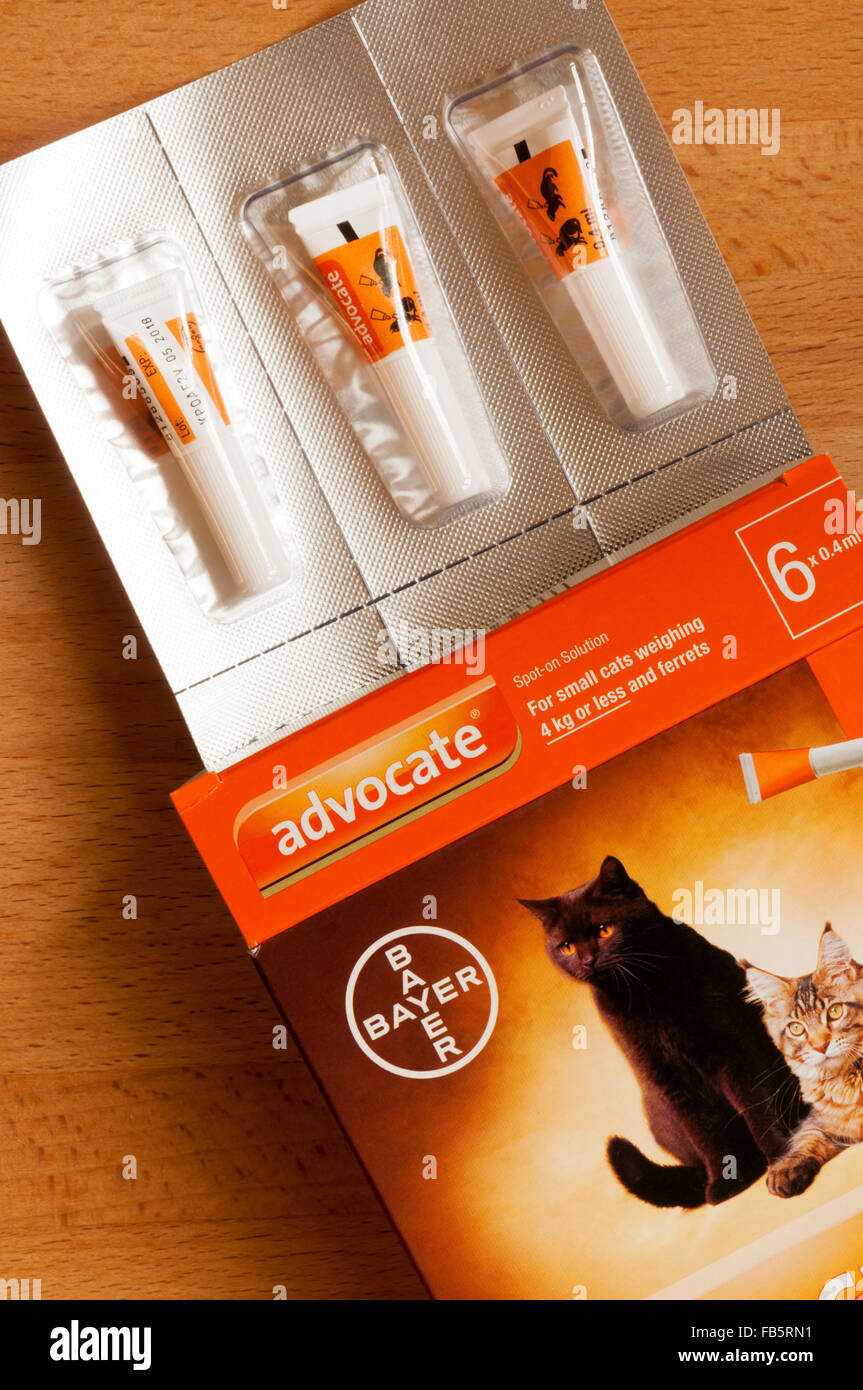 Advocate flea and worm treatment for small cats and ferrets. Stock Photo