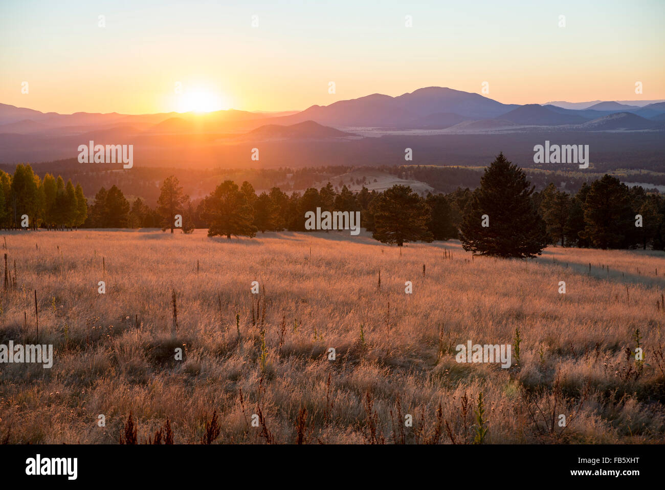 A Fall sunset at Snowbowl, Flagstaff, Arizona, USA Stock Photo - Alamy