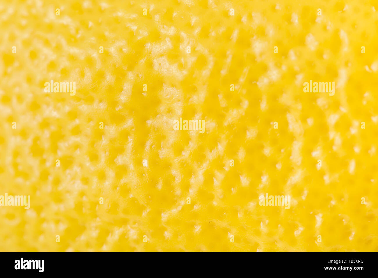 Yellow Lemon Peel Texture Macro Stock Photo