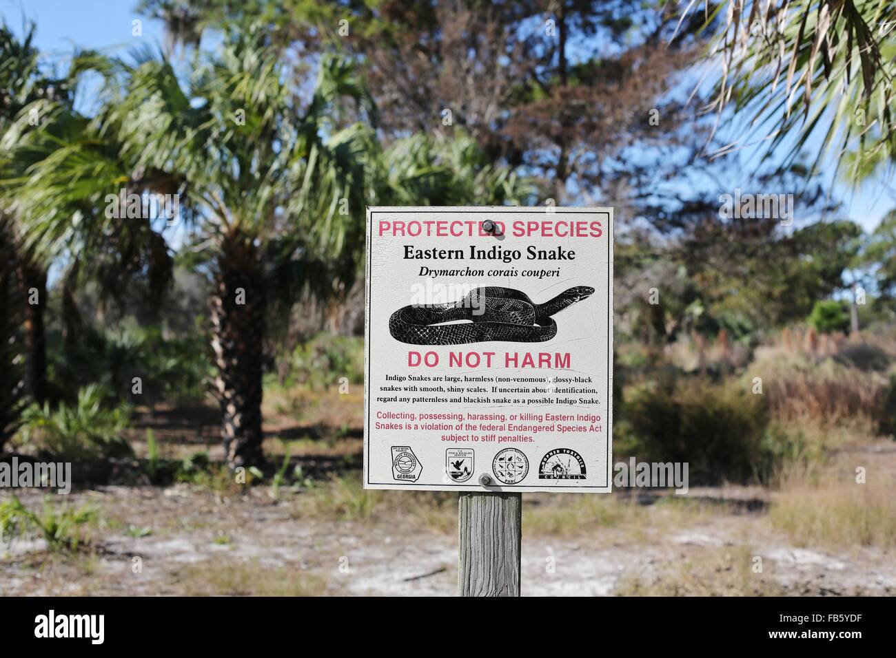 A sign alerting to visitors of the presence of Eastern Indigo snakes at Boyd Hill Nature Preserve in St. Petersburg, Florida. Stock Photo