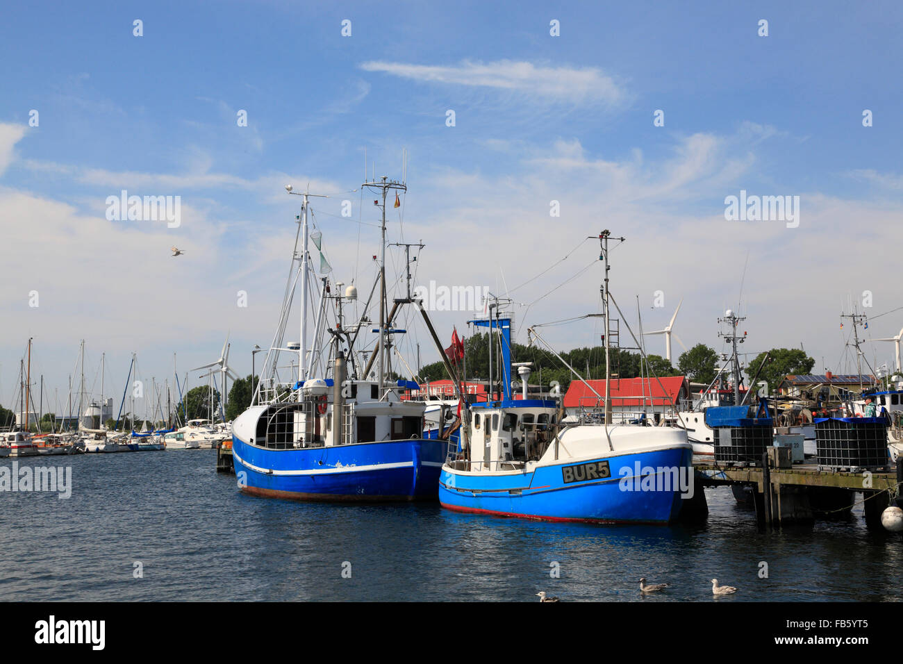 Fishing trawler at Burgstaaken harbour, Fehmarn island, Baltic sea coast, Schleswig-Holstein, Germany Stock Photo
