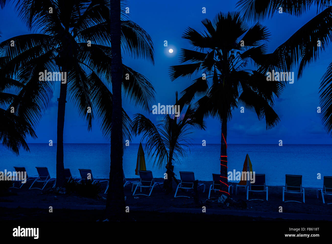 A full moon shines over the Caribbean sea in St. Croix, U.S. Virgin Islands. A palm tree beach scene. Stock Photo