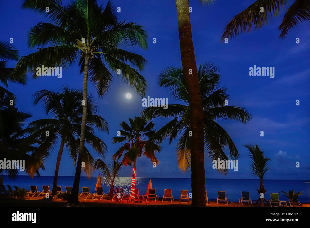 a full moon struggles through the clouds over the Caribbean sea. A palm tree beach scene. St. Croix, US Virgin Islands. USVI, U.S.V.I. Stock Photo