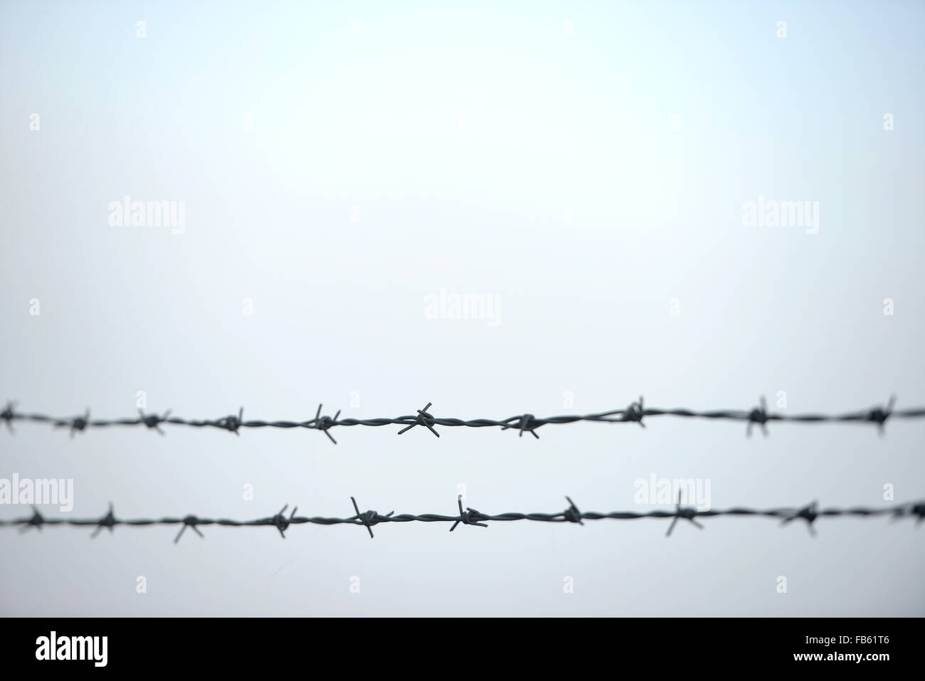 Twin barbed wire Stock Photo