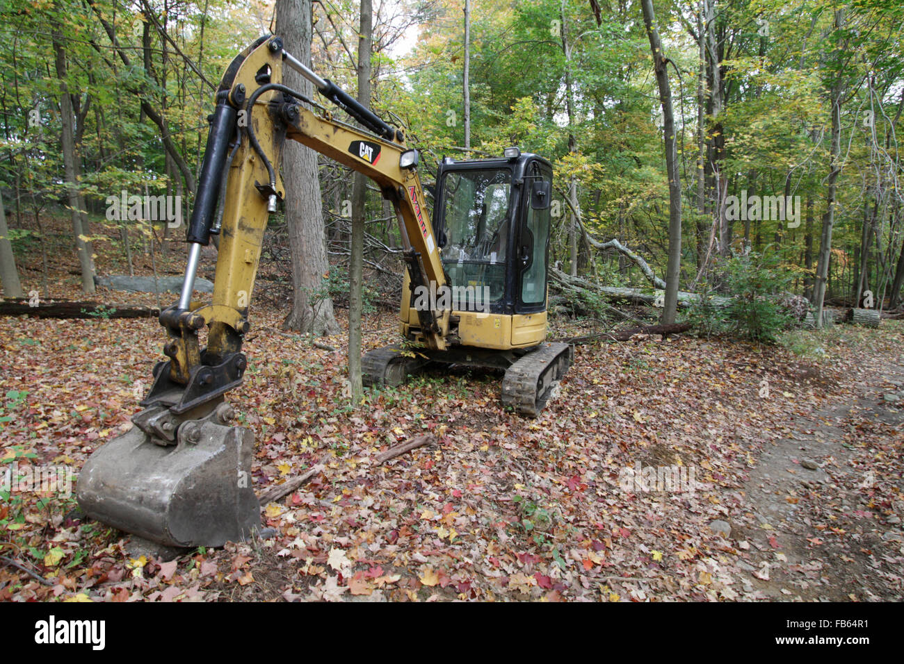 A backhoe in the woods Stock Photo