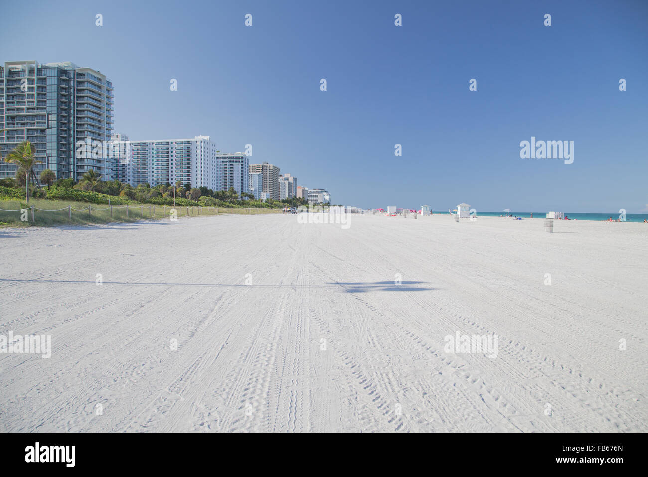 Inprinted vehicle tires spread over the white sandy beach accompanied by a silhouette of a palm tree in South Beach area of Miami Beach, Florida. Stock Photo