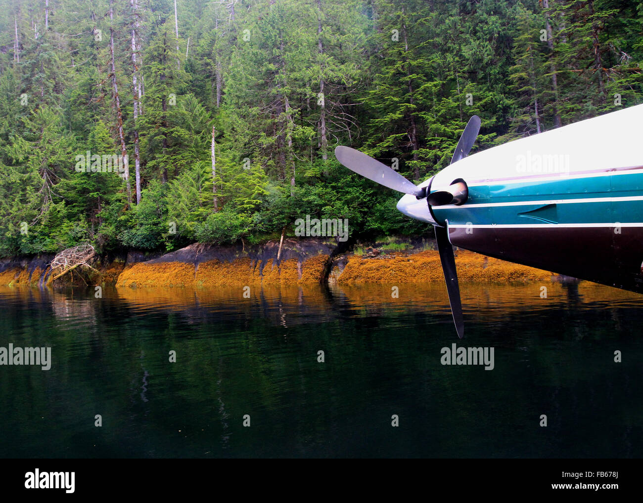 Floatplane sightseeing flight in Rudyerd Bay of the beautiful Misty Fjords near Ketchikan, Alaska Stock Photo