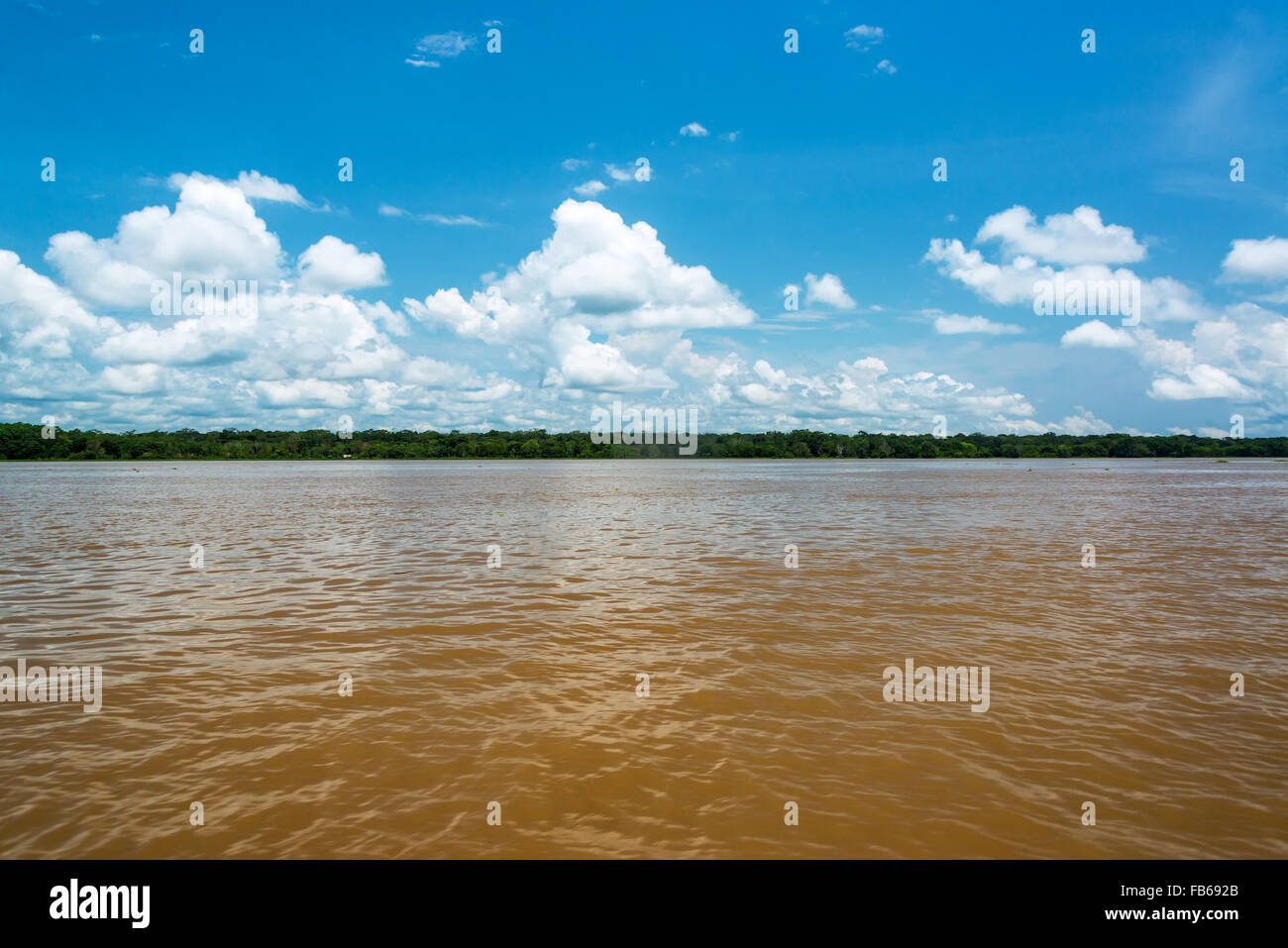 View of the brown dirty water of the Amazon River near Leticia, Colombia Stock Photo