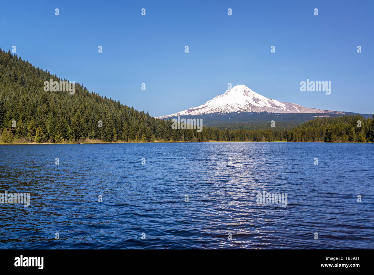 View of Mt. Hood, pine trees, and Trillium Lake in Oregon Stock Photo