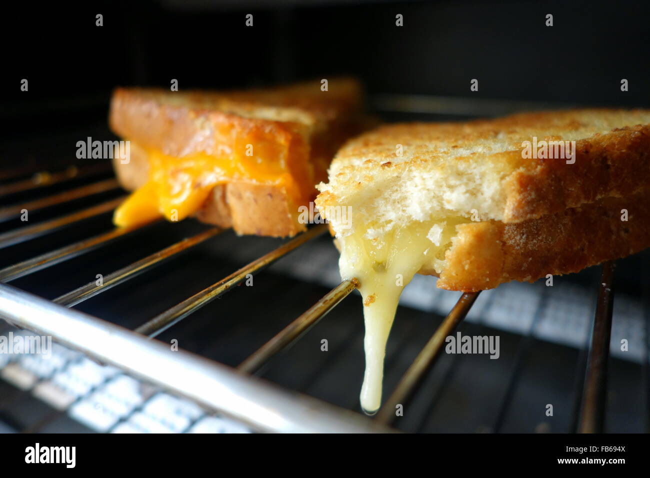 Toaster oven-grilled cheese sandwich - Professional Series