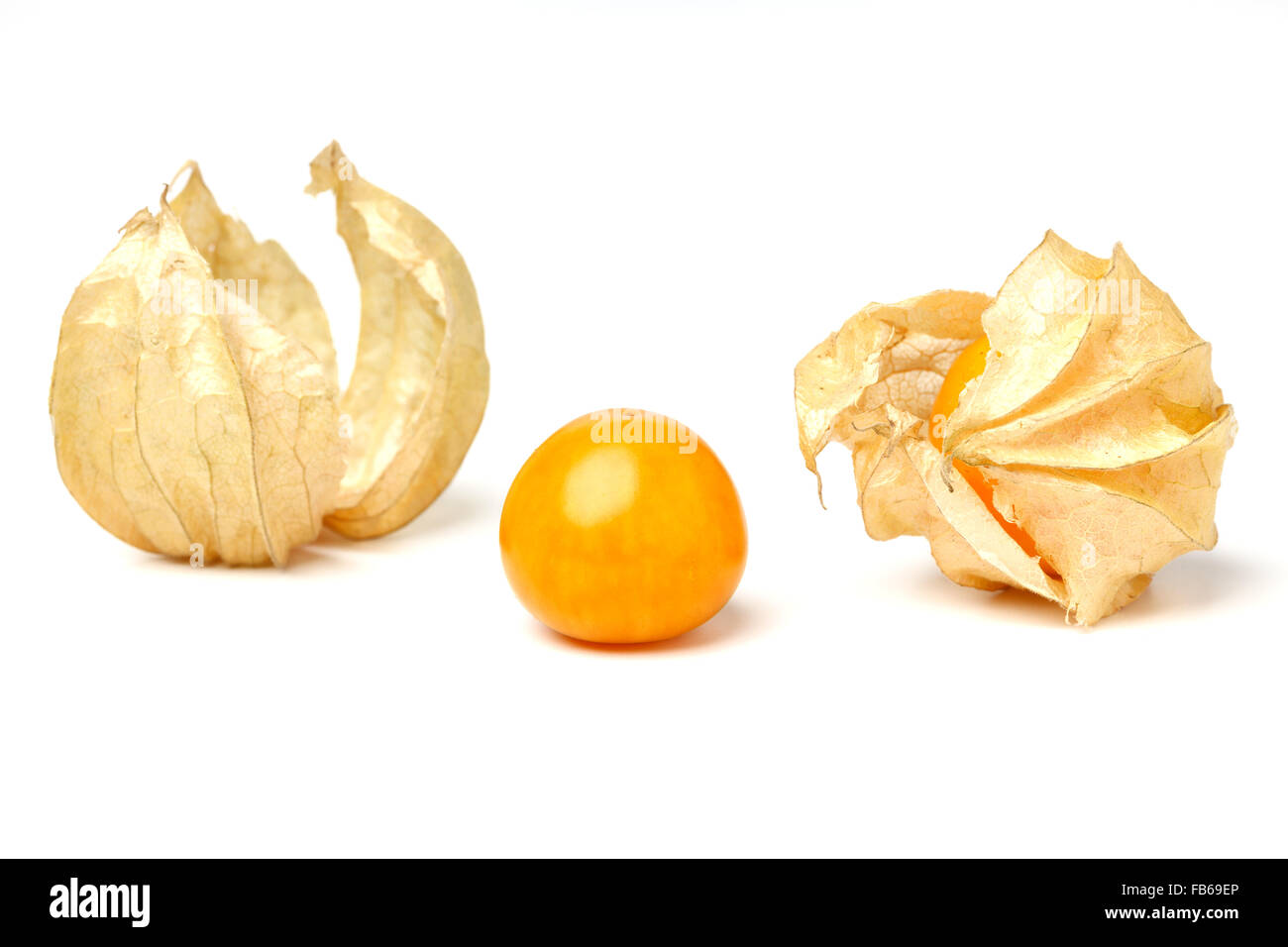 cape gooseberry physalis fruit ground cherry organic food vegetable ...