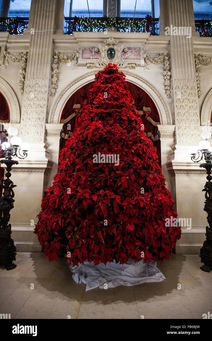 Poinsettia Christmas Tree, The Breakers, Newport, Rhode Island, United States of America Stock Photo